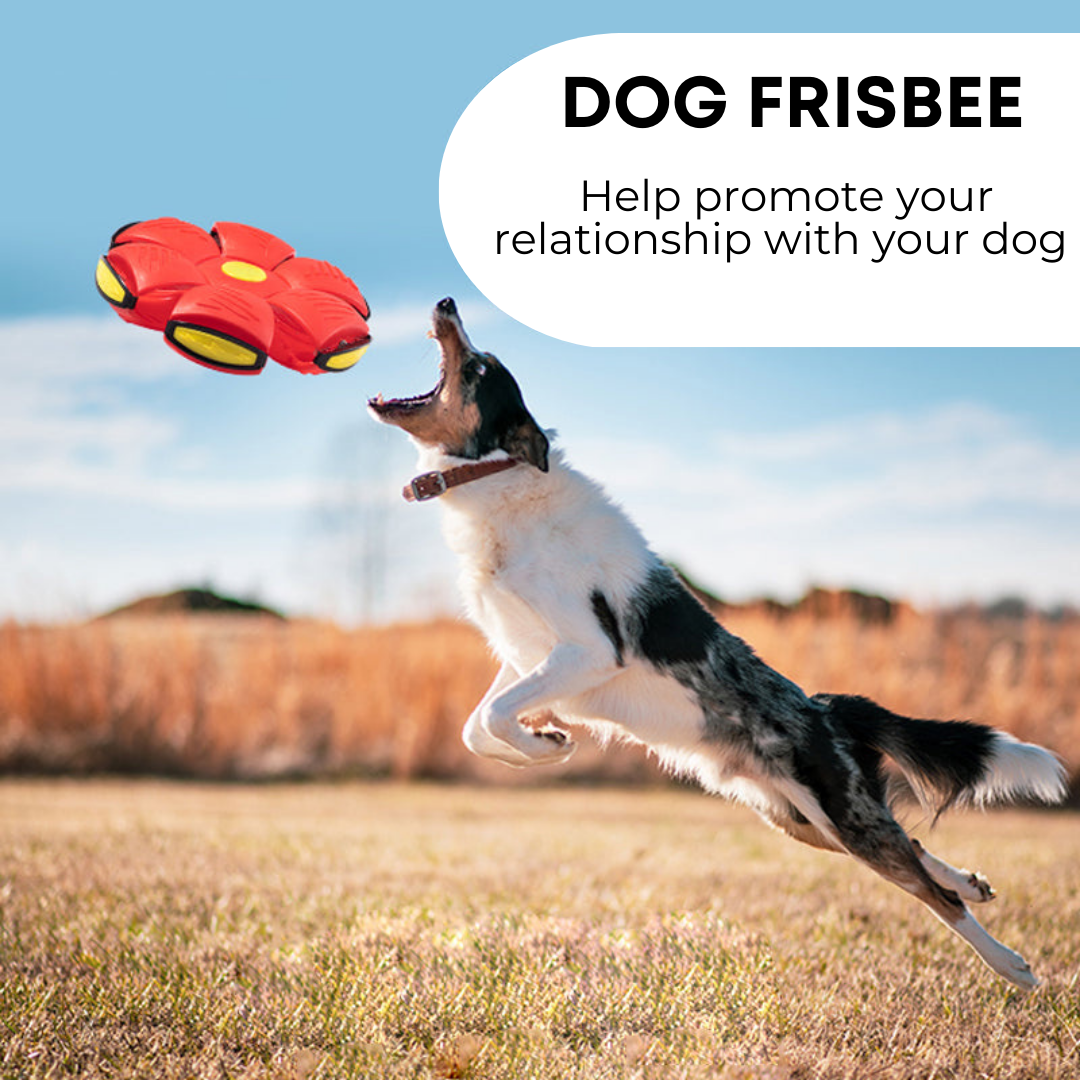Dog Frisbee Toy - Durable Flying Disc for Dogs
