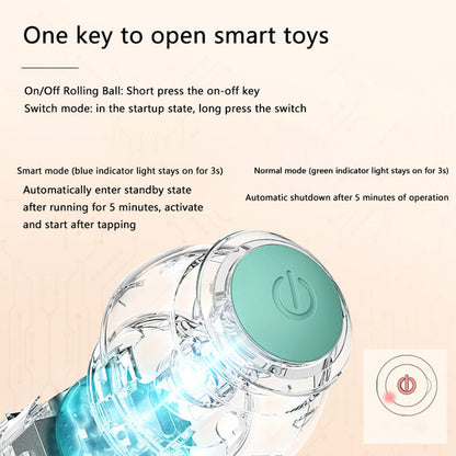 Interactive Rolling Dog Ball Toy - Automatic Pet Entertainer